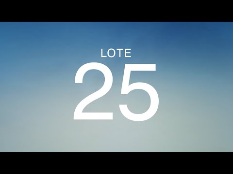 LOTE 25 - LCCF 817