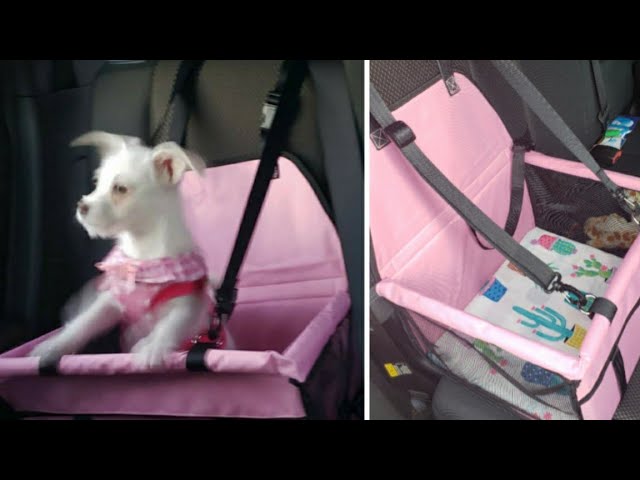 Diy Dog Car Seat Hippih, How To Make A Car Seat For Dogs