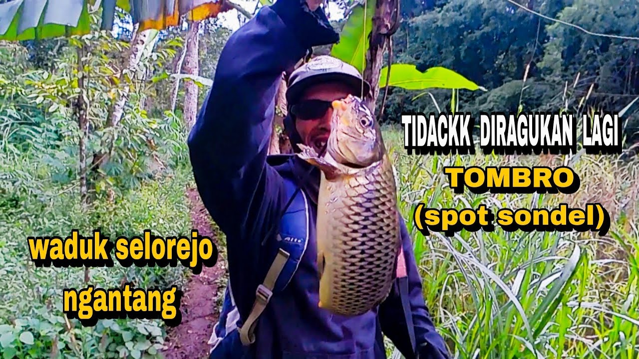 Maser Ikan Tombro Di Spot Sondel ( Waduk Selorejo Ngantang )