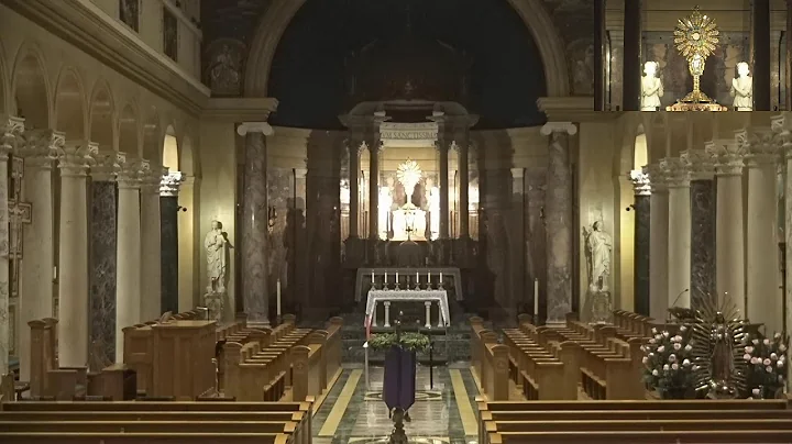 National Shrine of St. Maximilian Kolbe - Livestream