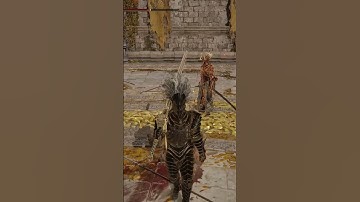 Elden Ring PVP the most insane lag I ever seen