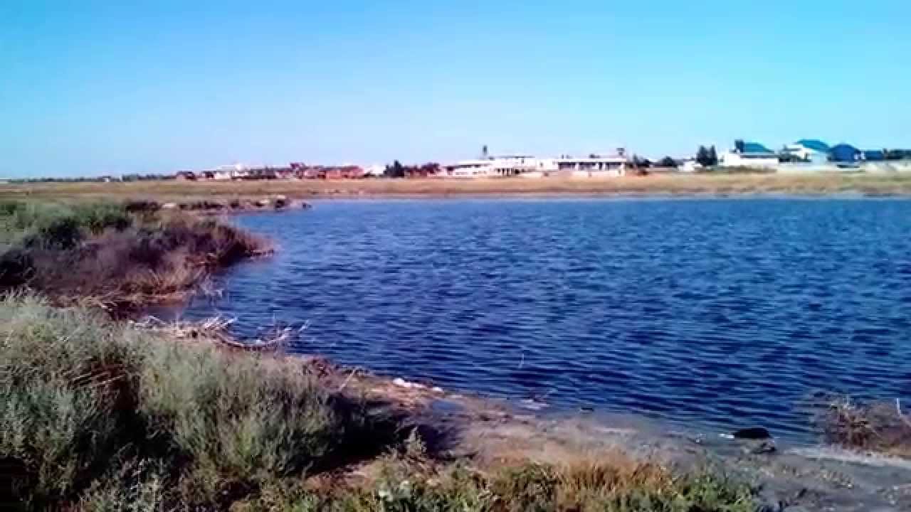 Азовское море. Кирилловка. Молочный лиман - YouTube
