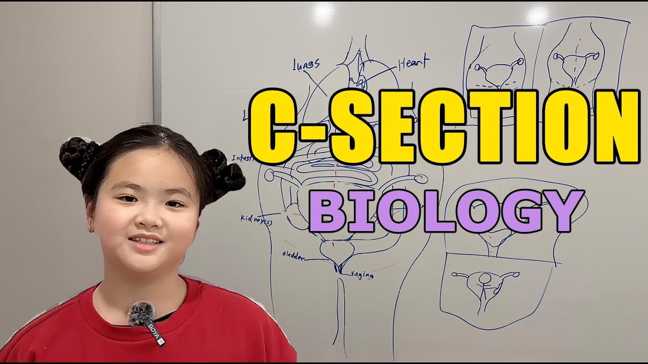 The Biology of C-Sections: Incisions, Reasons & Recovery