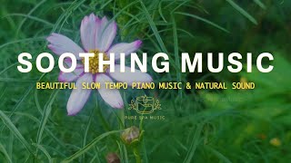 Restoring Emotional Health With Relaxing Piano Music 🌺 Pure Spa Music #relaxingmusic #piano