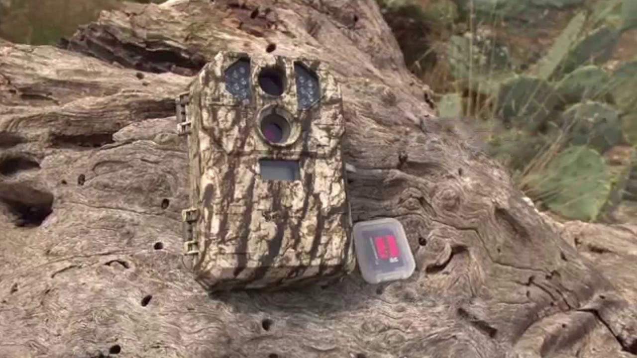 Best Trail Cameras