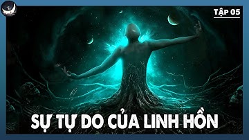 Bạn Là Linh Hồn Được Tự Do Khám Phá 6 Tầng Thứ Thấp Của Sự Sáng Tạo | TĐTCĐST Tập 05