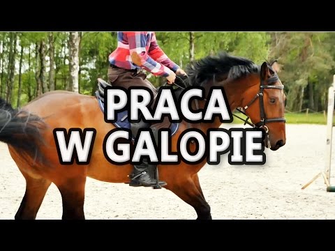 Galop w pełnym siadzie - jak pracować w galopie?