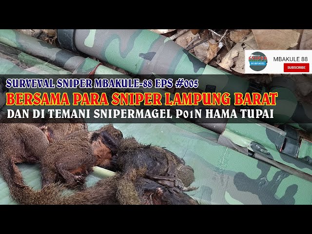 #SURVIVAL SNIPER MBAKULE-88 Episode #005 (Besama Sniper Lampung Barat) Hunting Hama Tupai class=