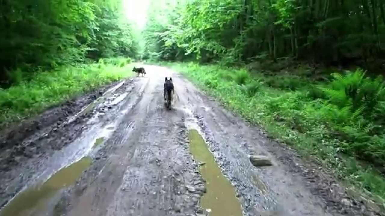 Salmon River Reservoir Free Camping South Shore YouTube