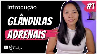 Glândulas Adrenais Introdução Mk Fisiologia