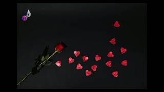 A Brighter Heart
