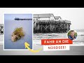 Fahr an die Nordsee! | Minimalistische Fotografie am Wattenmeer | Einfach nur EPISCH! | #nordsee