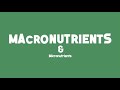 Nourishing Our Bodies Through Nutrients and Healthy Eating Choices