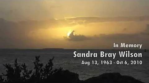 Dolphin Joy: A Tribute to Sandra. A quadriplegic f...