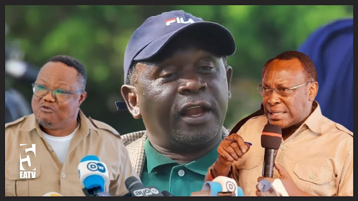 PETER MSIGWA AFICHUA MADUDU YOTE YA MBOWE CHADEMA, NILIWAAMBIA WALINIONA KICHAA/HAFAI KUONGOZA