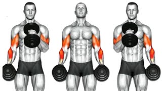 Best Bicep Exercises You Should Be Doing (Dumbbell Only)