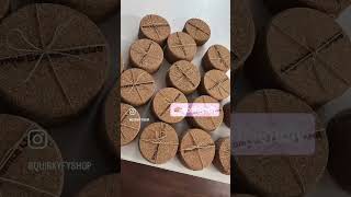 The Cork Coasters Again