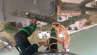 devil's lake Michigan tree climbing