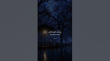 استخدموا الصوت😌🎧/القارئ ياسر الدوسري