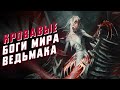 Ведьмак. Монстры, что стали Богами