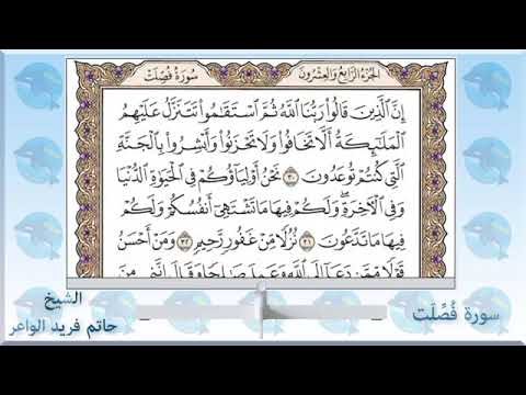 سورة فصلت الشيخ حاتم فريد الواعر