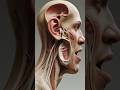 Art of Speech: An element of Human Evolution #viralvideo #facts #youtubeshorts #science #ytshorts