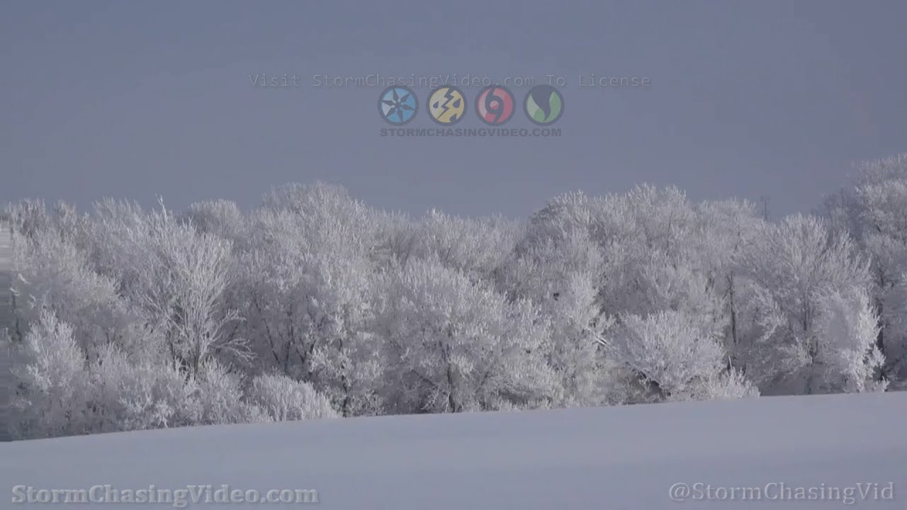 New Prague, MN Heavy Hoar Frost and Snow - 1/6/2023