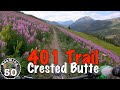 CO MTB 🟦 Wildflowers galore on Crested Butte's famous 401 Trail