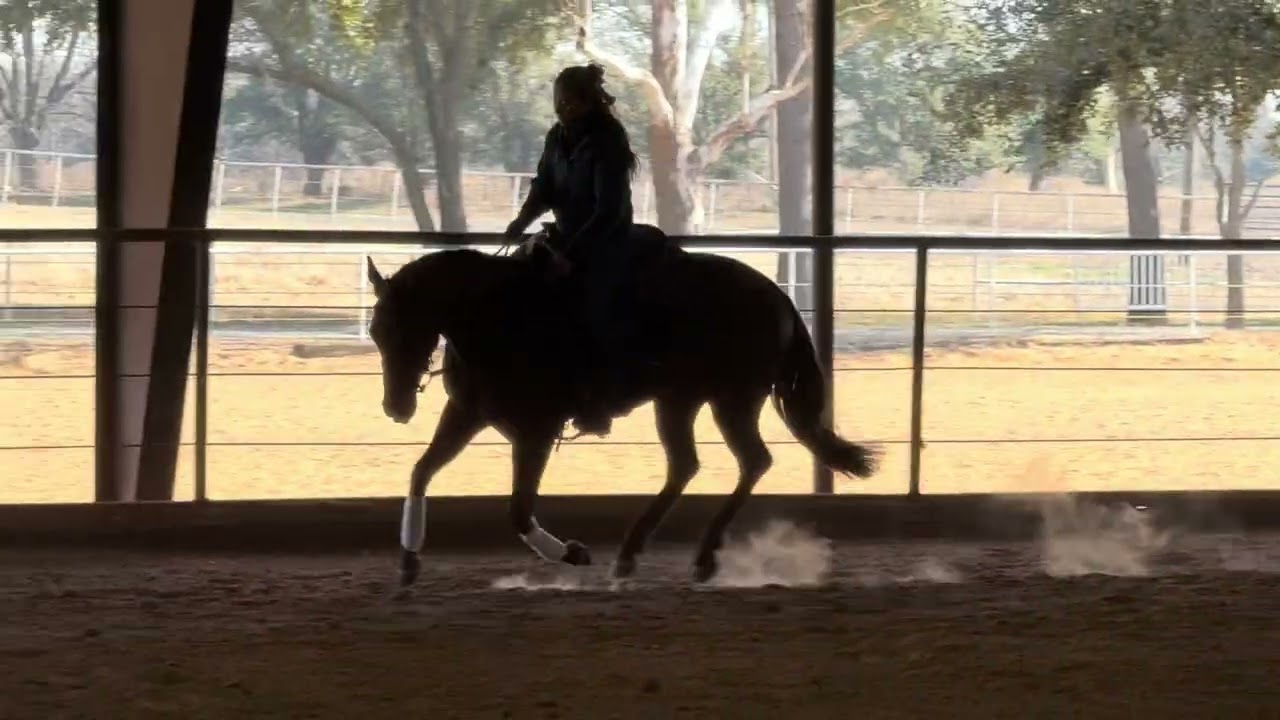 No More Corona - Winter Sale