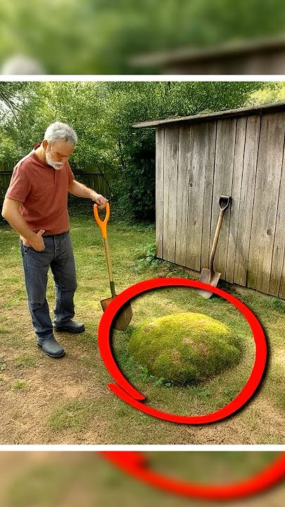 For a Decade the Lump Near His Shed Grew Bigger, Then He Decided to Dig It Up