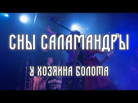 Сны Саламандры –