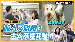 熊爸到你家EP.15｜高檯穩定訓練！熊爸示範給你看！｜熊爸估狗 Feat.Cookie(剛毛獵狐梗)