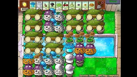 10 Cob Setup | Survival Endless