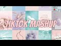 Tiktok Mashup (Not Clean) 💙💙