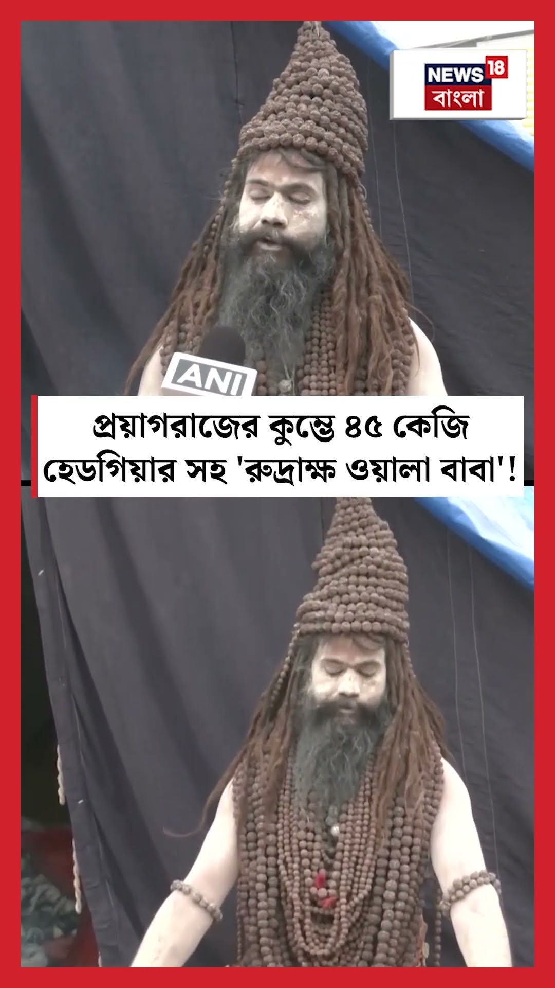 Prayagraj এর Kumbh এ ৪৫ কেজি হেডগিয়ার সহ 'রুদ্রাক্ষ ওয়ালা বাবা'! | N18S #shorts