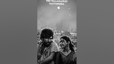 Saami Saami Status | Pushpa Status | Allu Arjun Status | Rashmika Status | Saami Saami Song