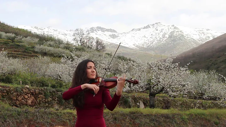 Dust in the wind (Kansas) - Violin cover: Laura Ca...