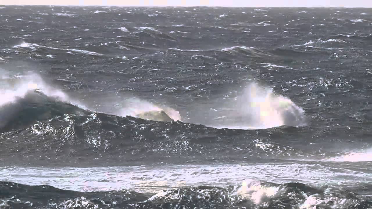 JP_WaveAction_2013