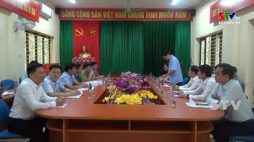 Thuận Châu tăng cường công tác quản lý, bảo vệ và phát triển rừng