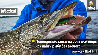 картинка: Подводные оазисы на большой воде: как найти рыбу без эхолота. Алексей Шанин. Anglers Practical