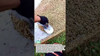 Concrete Finish Trick Looks EXPENSIVE, But It’s Super Simple