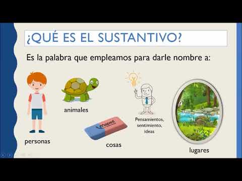 El Sustantivo. Propios y Comunes. - YouTube