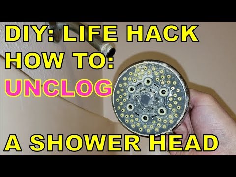 DIY LIFE HACK:  Clean a Shower Head FOR PENNIES!!