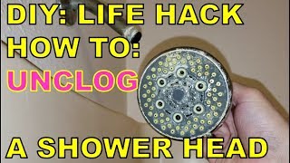 DIY LIFE HACK:  Clean a Shower Head FOR PENNIES!!