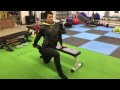 股割りメソッド1
