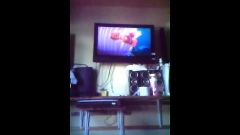 Buscando a nemo