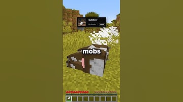 Best Mods For Minecraft 1.21.5 ✅