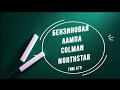 Обзор Бензиновая лампа NorthStar Dual Fuel Coleman