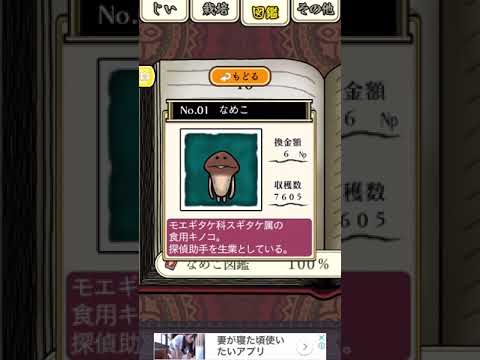 おさわり探偵hd なめこ栽培キット なめこ図鑑コンプリート Youtube おさわり探偵hd なめこ栽培キット なめこ図鑑コンプリート Youtube