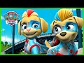 Mighty Pups and Dino Rescues 🦕 - PAW Patrol - Cartoons for Kids Compilation